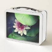 Lunchbox Lotus Flower Photography (Dos)