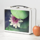 Lunchbox Lotus Flower Photography (En situation)
