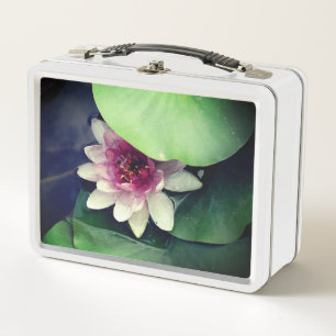 Lunchbox Lotus Flower Photography
