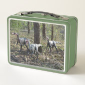 Lunchbox Trois Dinosaures Courants (Dos)