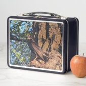 Lunchbox voor vogels (In situ)