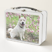 Lunchbox - Witte Akita (Voorkant)