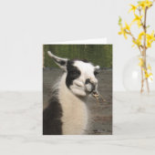 Lunchen Llama Notitiekaarten (Gele Bloem)