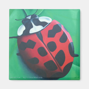 Lunching Lady. . . Bug Magnet Magneet