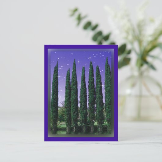 Lundblade Conifers - Starry Eve, carte postale (Debout devant)