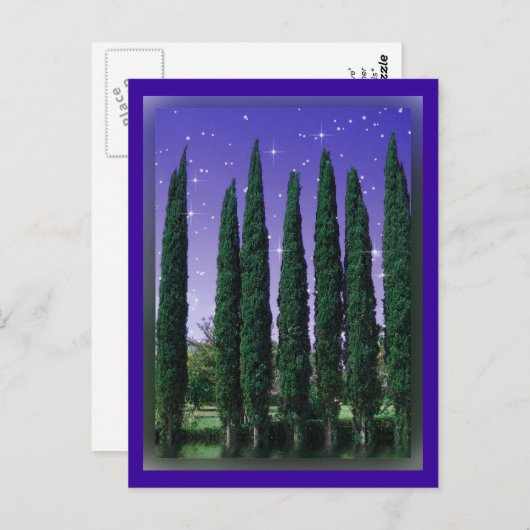 Lundblade Conifers - Starry Eve, carte postale (Devant / Derrière)