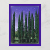 Lundblade Conifers - Starry Eve, carte postale (Devant)