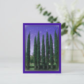 Lundblade Conifers - Sterrennacht, briefkaart (Staand voorkant)