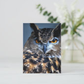 L'une carte postale sage (Debout devant)