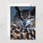 L'une carte postale sage (Devant / Derrière)