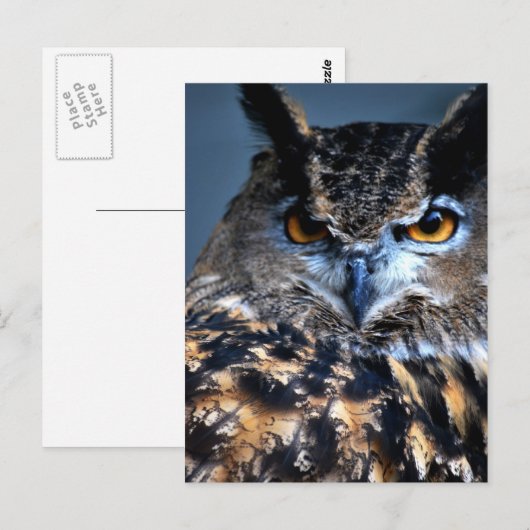 L'une carte postale sage (Devant / Derrière)