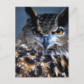 L'une carte postale sage (Devant)