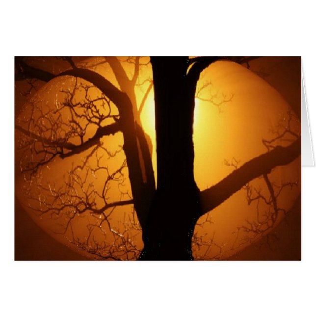 Lune d'automne brillant à travers l'arbre (Devant horizontal)