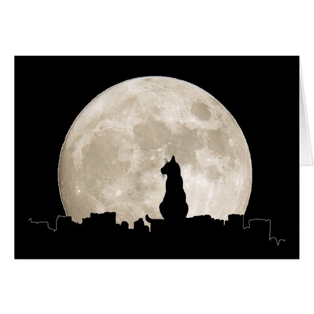 Lune de chat d'allée (Devant horizontal)