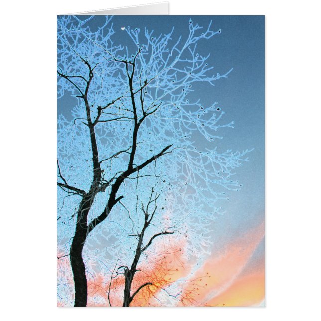 Lune lointaine (Devant)