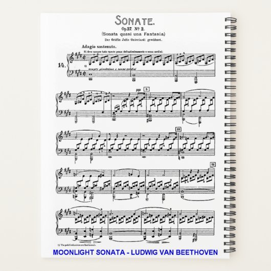Lune-Sonate-Ludwig-Beethoven (Dos)