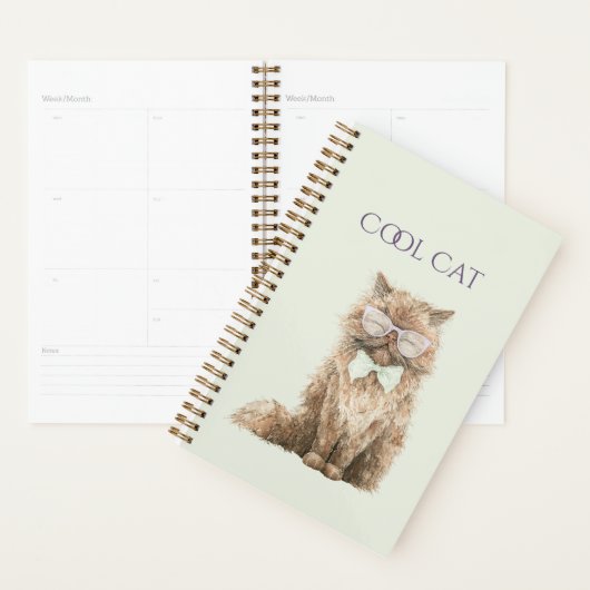 Lunettes de chat cool marron violet menthe   (Devant avec enveloppe)
