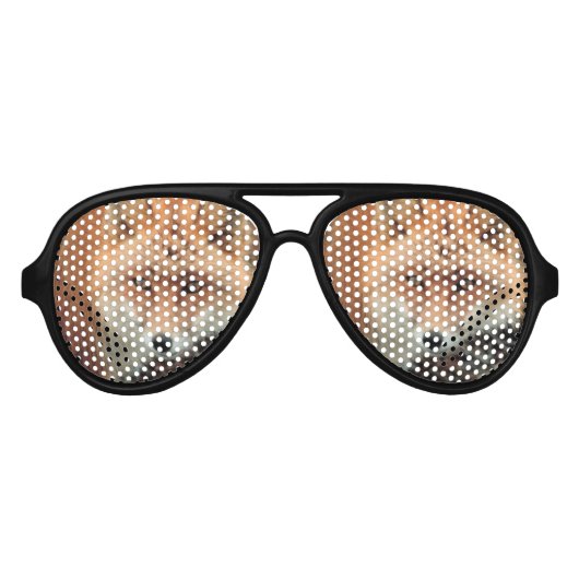 Lunettes De Fête Aviateur Espèces de renard (Devant)