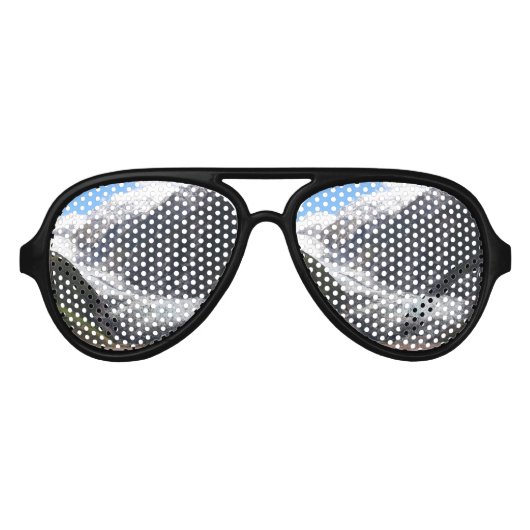 Lunettes De Fête Aviateur Franz Josef Glacier, Nouvelle-Zélande (Devant)