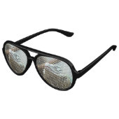 Lunettes De Fête Aviateur Grand Cayman Iguana (Angle)