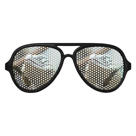 Lunettes De Fête Aviateur Grand Cayman Iguana (Devant)