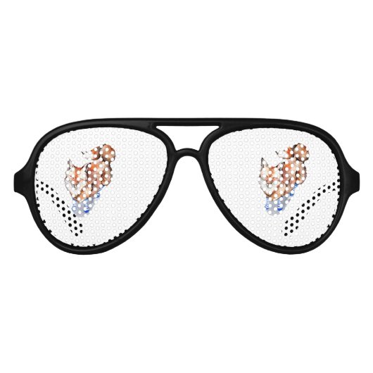 Lunettes De Fête Aviateur Renard en Chaussettes (Devant)