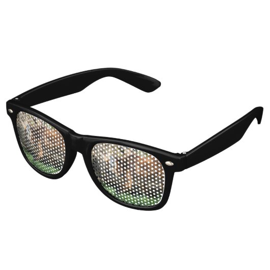 Lunettes De Fête Retro Brachyurus de Chrysocyon (Angulaire)