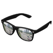 Lunettes De Fête Retro Circulation à Chicago dans le grès (Angulaire)