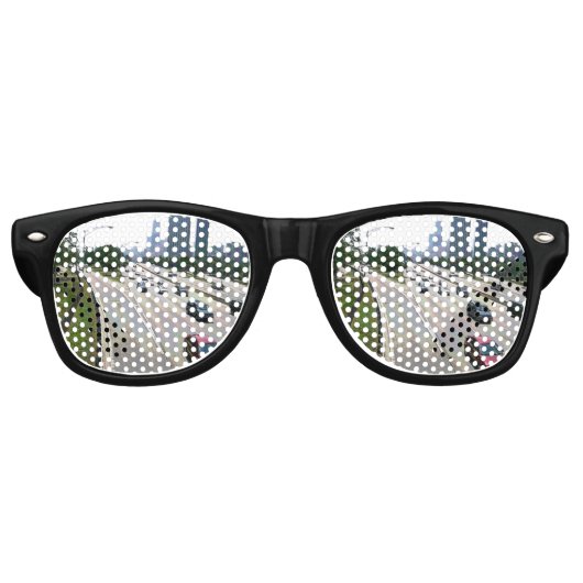 Lunettes De Fête Retro Circulation à Chicago dans le grès (Devant)