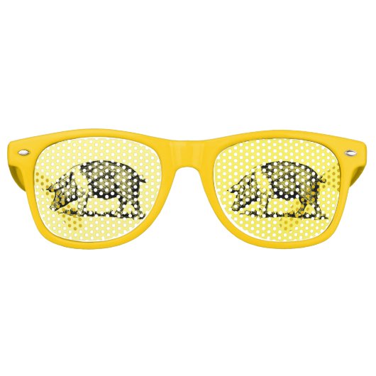 Lunettes De Fête Retro Cochon (Devant)