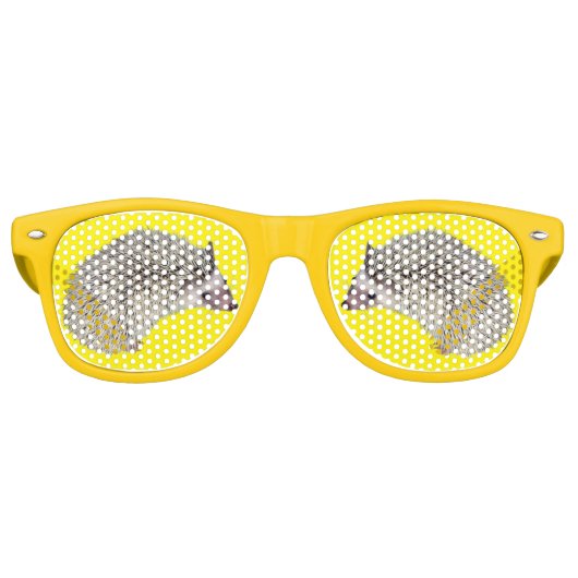 Lunettes De Fête Retro do-it-yourself nuances de hérisson 2 (Devant)