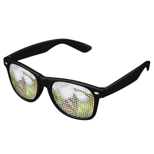 Lunettes De Fête Retro Papilio demoleus (Angulaire)