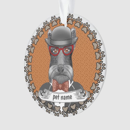 Lunettes de Schnauzer âgé (devant)