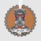 Lunettes de Schnauzer aîné (devant)