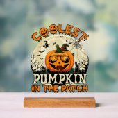 Lunettes de soleil Coolest Pumpkin Patch Chapeau d (Neutre)