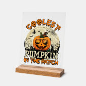 Lunettes de soleil Coolest Pumpkin Patch Chapeau d (Angle)