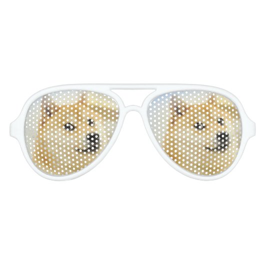 Lunettes de soleil Dogecoin (Devant)