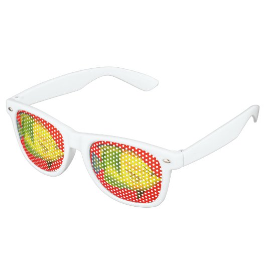 Lunettes de soleil Fish Eyes (Angulaire)