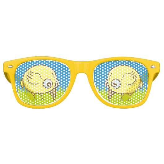 Lunettes de soleil rétro (Devant)
