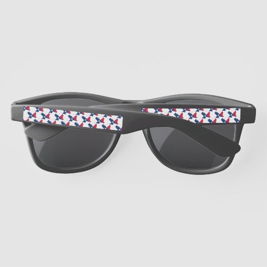 Lunettes De Soleil TEXAS DRAPEAU Patriotique Texan (Dos)