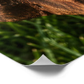 Lunettes de soleil vert mat sur une impression édi (Coin)