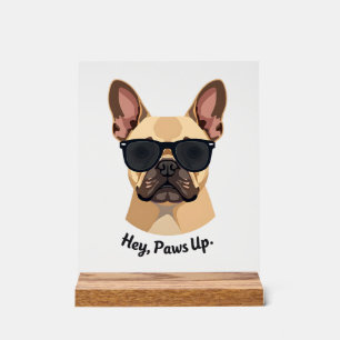 Lunettes de soleil vintage Hey, Paws Up Bouledogue