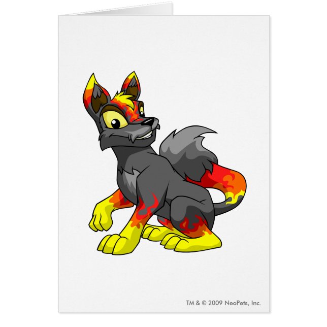 Lupe Fire (Voorkant)