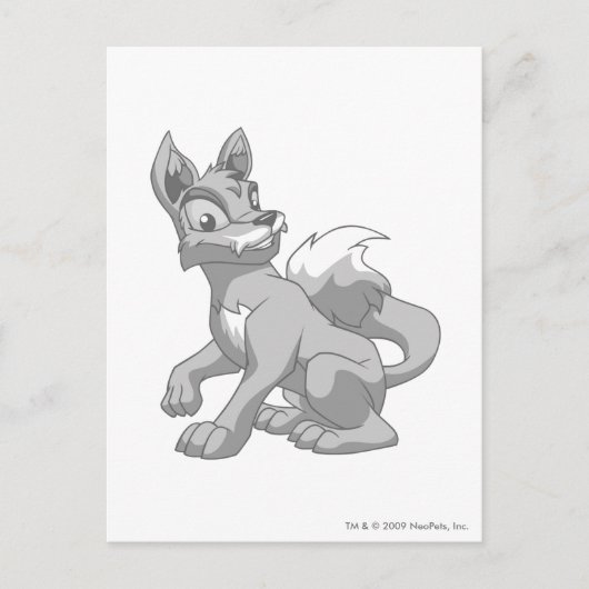 Lupe Silver Briefkaart (Voorkant)