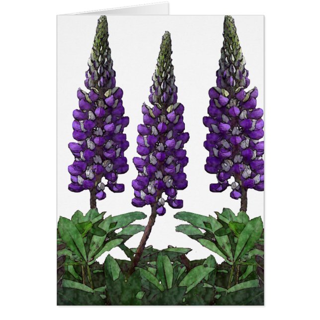 Lupin (Devant)
