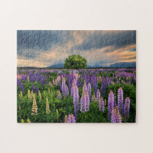 Lupin Field in Nieuw-Zeeland Legpuzzel