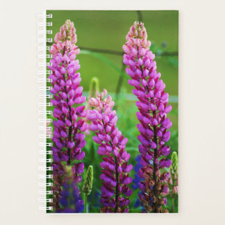 Lupin petite couverture souple, spirale blanche