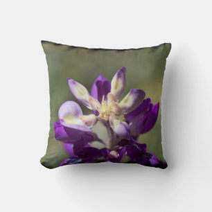 Lupine Black Edge Kussen