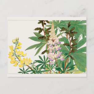 Lupine door Tanigami Konan Briefkaart