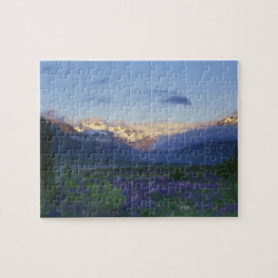 Lupine en de Main Divide, Arthur's Pass, Zuid Legpuzzel
